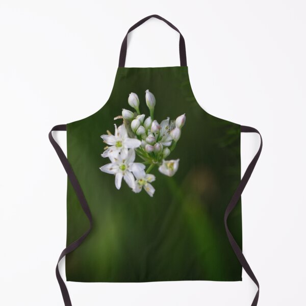 Item preview, Spring 2024 at the Arboretum (10) designed and sold by Wolf Sverak Photography.