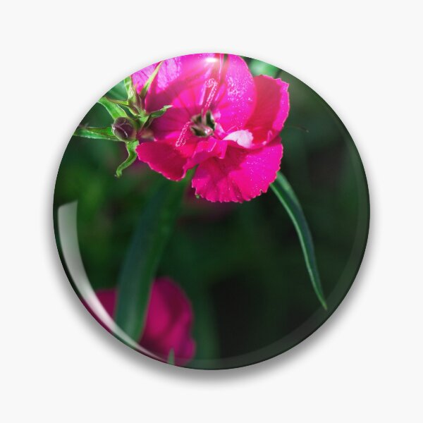 Item preview, Spring 2024 at the Arboretum (8) designed and sold by Wolf Sverak Photography.