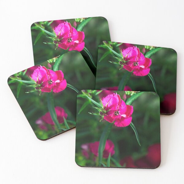 Item preview, Spring 2024 at the Arboretum (8) designed and sold by Wolf Sverak Photography.