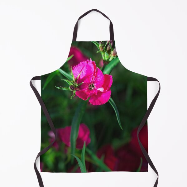 Item preview, Spring 2024 at the Arboretum (8) designed and sold by Wolf Sverak Photography.
