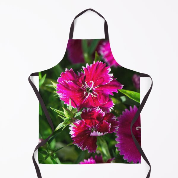 Item preview, Spring 2024 at the Arboretum (7) designed and sold by Wolf Sverak Photography.
