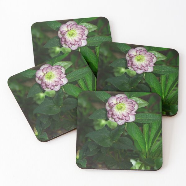 Item preview, Spring 2024 at the Arboretum (6) designed and sold by Wolf Sverak Photography.