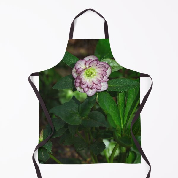Item preview, Spring 2024 at the Arboretum (6) designed and sold by Wolf Sverak Photography.
