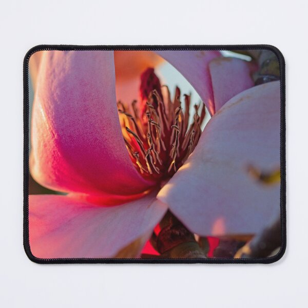 Item preview, Spring 2024 at the Arboretum (5) designed and sold by Wolf Sverak Photography.