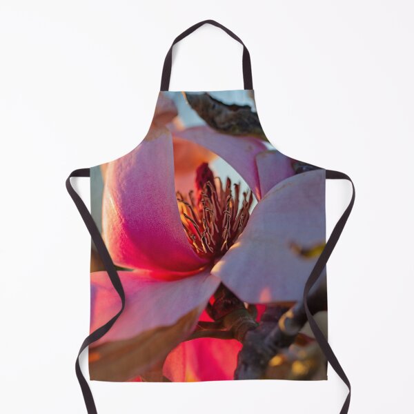 Item preview, Spring 2024 at the Arboretum (5) designed and sold by Wolf Sverak Photography.