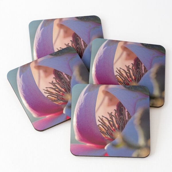Item preview, Spring 2024 at the Arboretum (4) designed and sold by Wolf Sverak Photography.