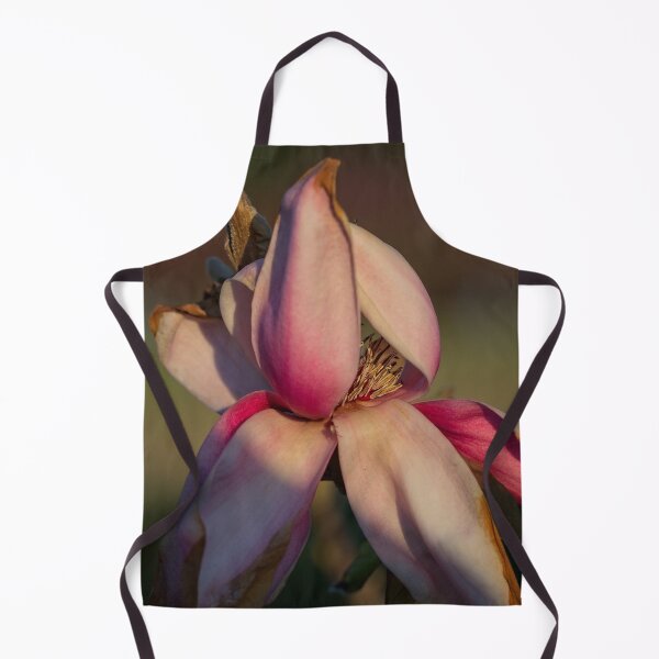 Item preview, Spring 2024 at the Arboretum (3) designed and sold by Wolf Sverak Photography.
