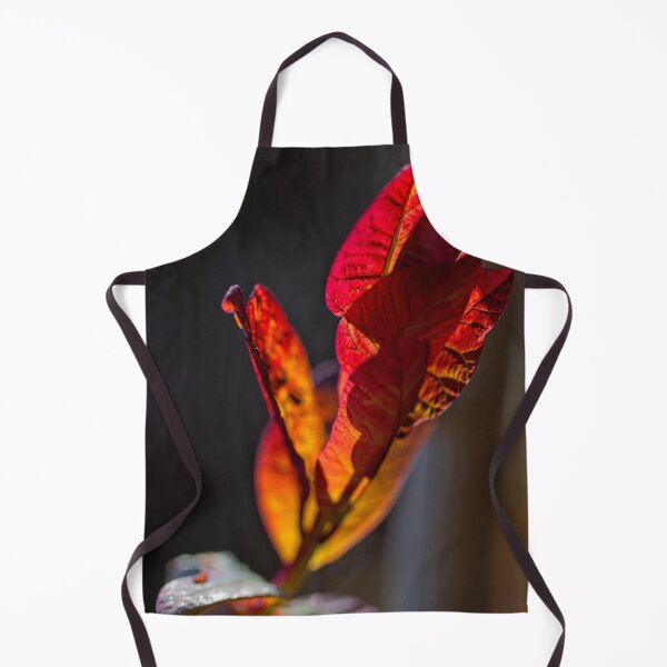 Item preview, Spring 2024 at the Arboretum (2) designed and sold by Wolf Sverak Photography.