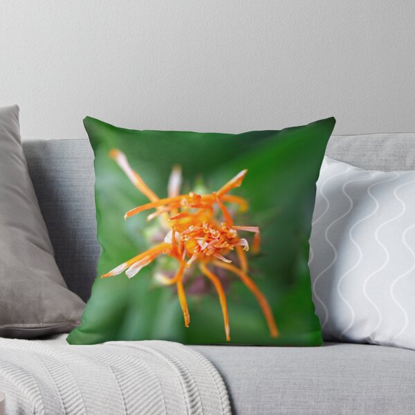 Item preview, Spring 2024 at the Arboretum (1) designed and sold by Wolf Sverak Photography.