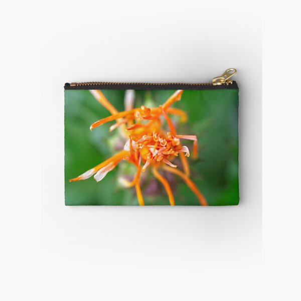 Item preview, Spring 2024 at the Arboretum (1) designed and sold by Wolf Sverak Photography.