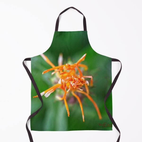 Item preview, Spring 2024 at the Arboretum (1) designed and sold by Wolf Sverak Photography.