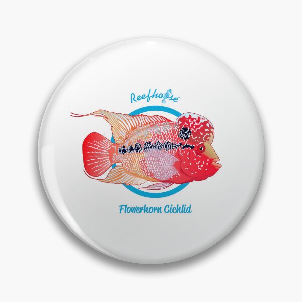 Item preview, Flowerhorn Cichlid designed and sold by KaplanCrypto.