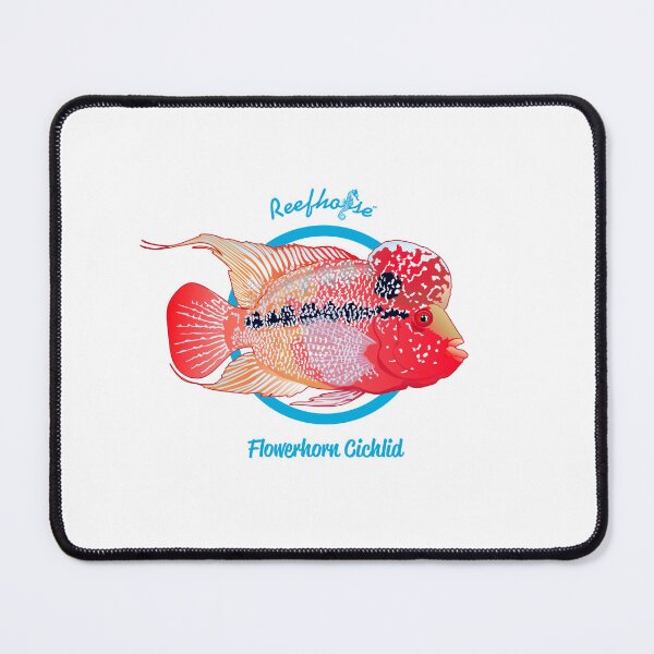Item preview, Flowerhorn Cichlid designed and sold by KaplanCrypto.