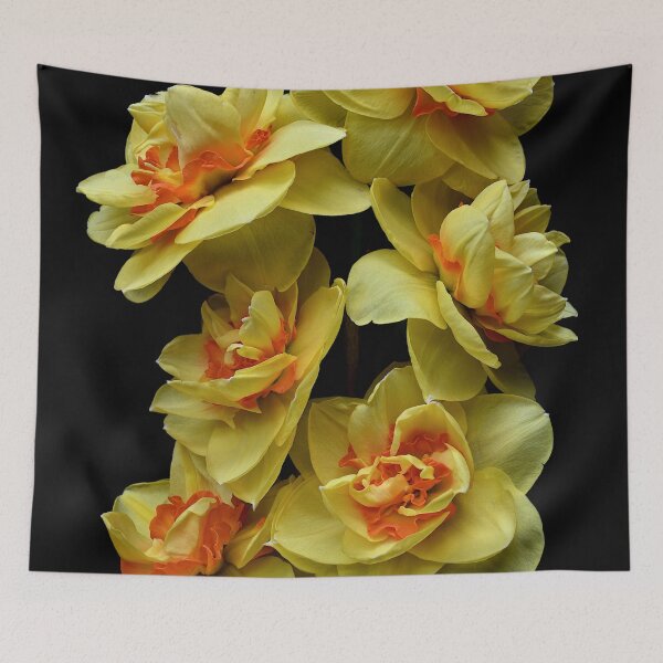 Item preview, Yellow Double Daffodil Flowers designed and sold by therandomimage2.