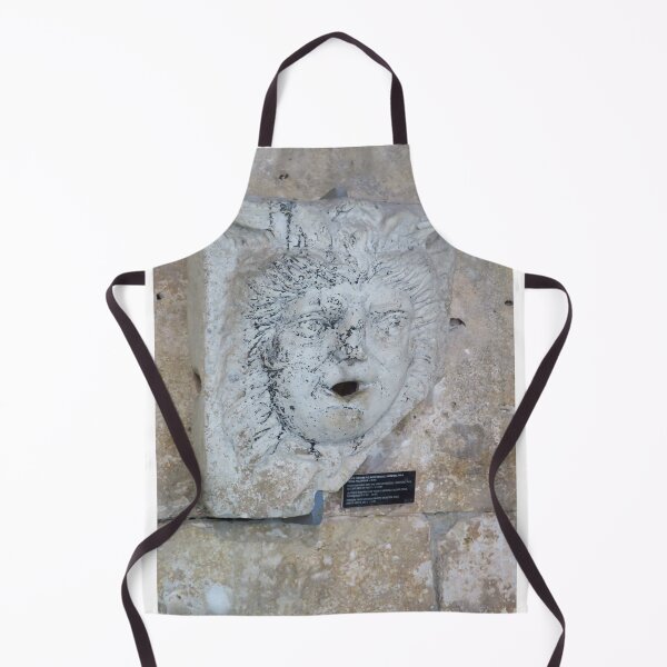 Item preview, Fountain Panel With Head of Medusa designed and sold by wiggyofipswich.