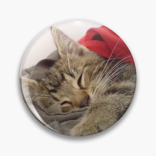Item preview, Quincey is asleep designed and sold by Selfmaiden.