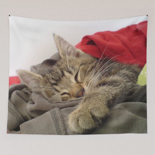 Item preview, Quincey is asleep designed and sold by Selfmaiden.