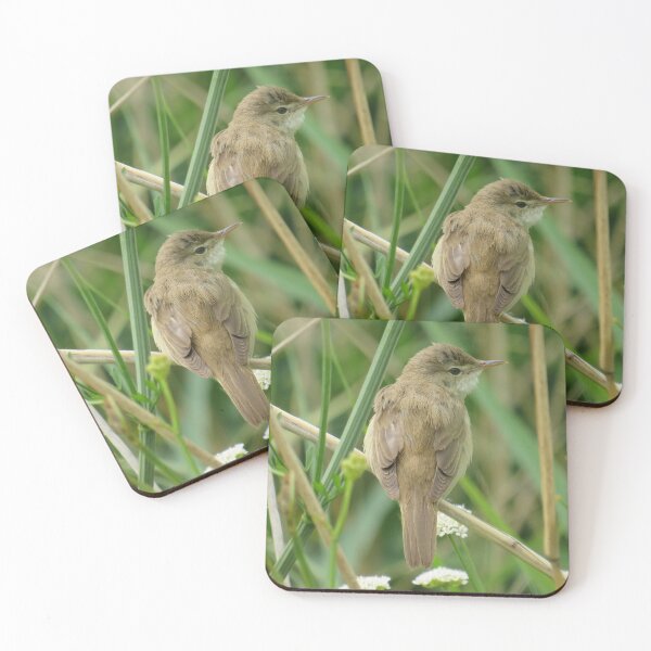 Item preview, 'PLAIN' - BUT BEAUTIFUL... designed and sold by NatureWatch10.