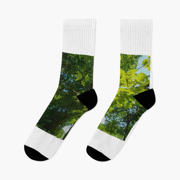 Item preview, Green leaves, brown tree truck, and nice sunshine designed and sold by dabingboshi.