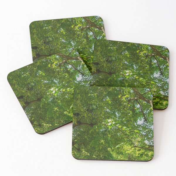 Item preview, Green leaves, trees, in sunshine, in a park designed and sold by dabingboshi.