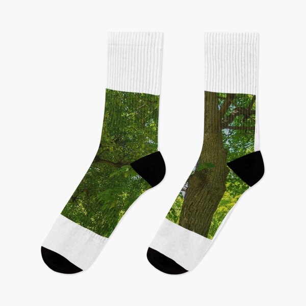 Item preview, Green leaves, trees, in sunshine, in a park designed and sold by dabingboshi.