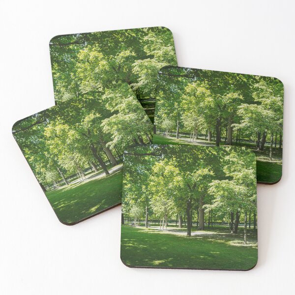 Item preview, Green tress, grass, leaves, in a park with nice sunshine,  designed and sold by dabingboshi.
