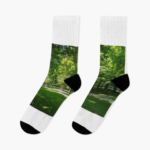 Item preview, Green tress, grass, leaves, in a park with nice sunshine,  designed and sold by dabingboshi.