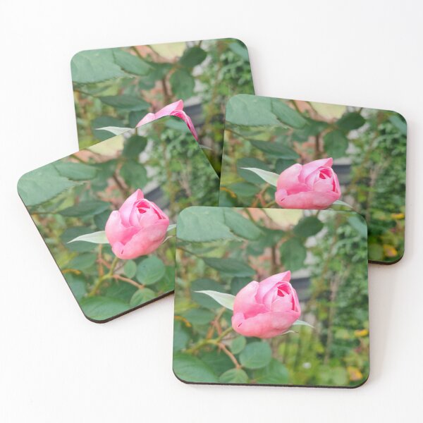 Item preview, Blooming Rose designed and sold by AurielLothrian.