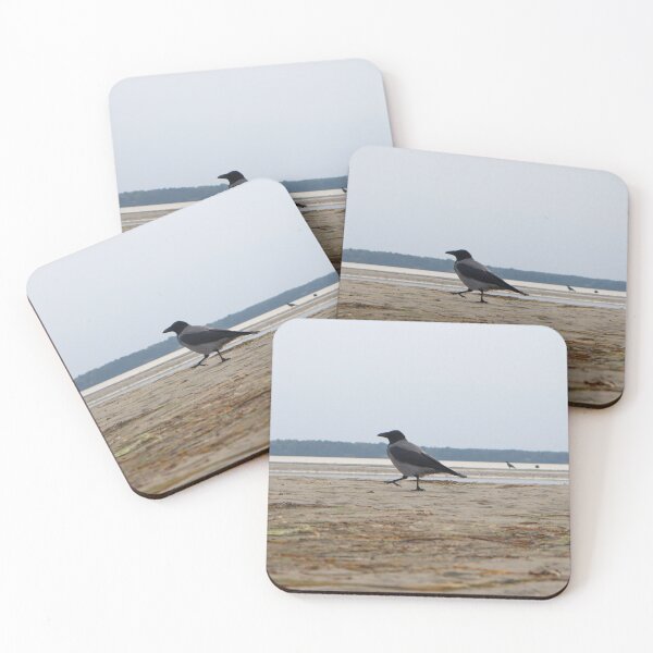 Item preview, Hooded Crow Walking on the Beach in Tallinn designed and sold by cnvlphotography.