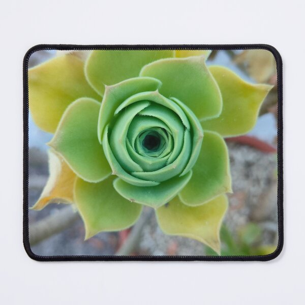 Item preview, The geometry of Nature designed and sold by AurielLothrian.