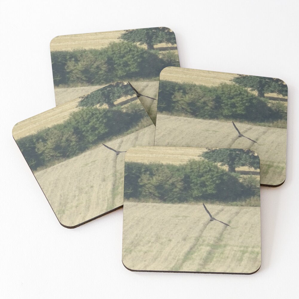 Item preview, Coasters (Set of 4) designed and sold by Rorymacve.