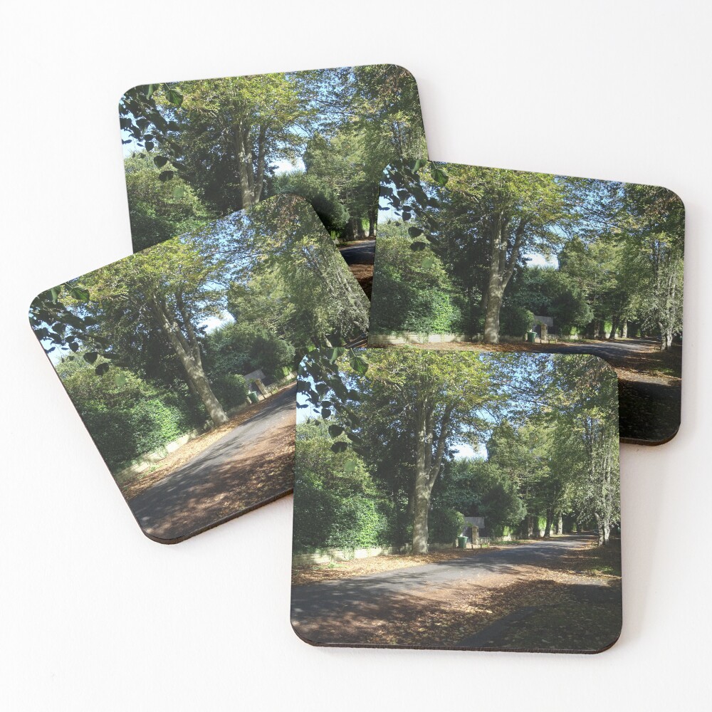 Item preview, Coasters (Set of 4) designed and sold by Rorymacve.