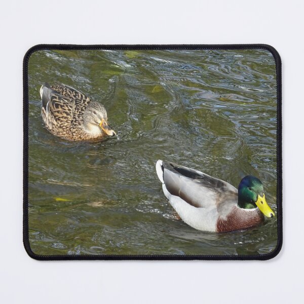 Item preview, Duck Duo designed and sold by Rorymacve.