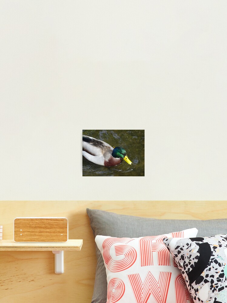 Thumbnail 2 of 3, Photographic Print, Closing In designed and sold by Rorymacve.