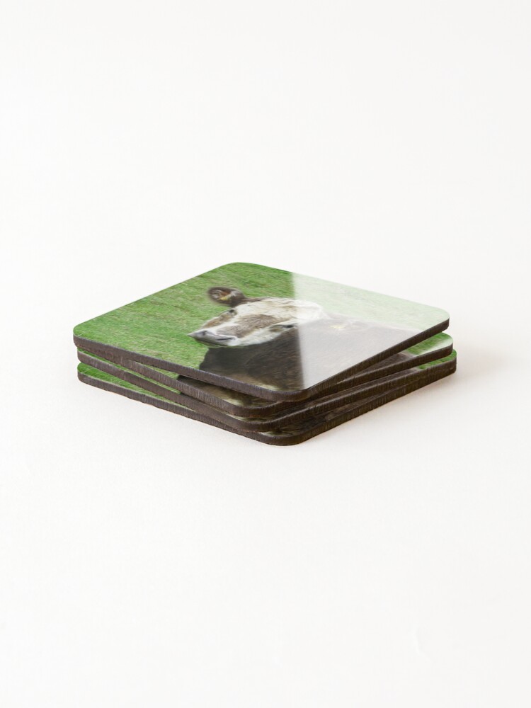 Thumbnail 4 of 5, Coasters (Set of 4), Moo! designed and sold by Rorymacve.