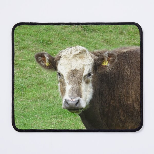 Item preview, Moo! designed and sold by Rorymacve.
