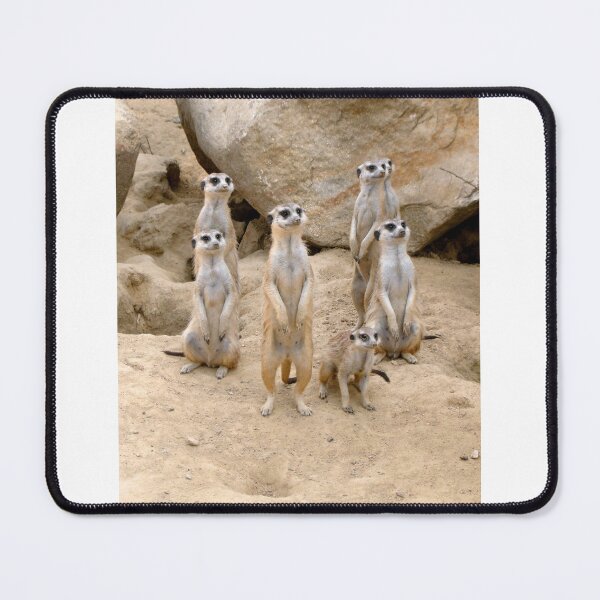 Item preview, Meerkats designed and sold by Zoozwear Apparel.