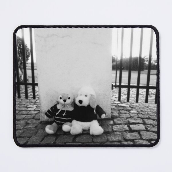 Item preview, BLACK AND WHITE PHOTOGRAPHY - PLUSH TOYS - DOG AND RABBIT SITTING ON COBBLESTONES AT GATE BACK ENTRANCE SPENTRUP CHURCHYARD - SPENTRUP DENMARK designed and sold by Most1234.