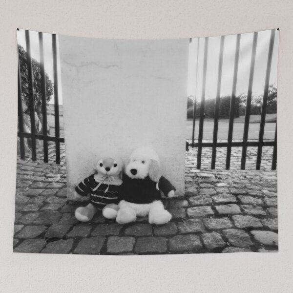 Item preview, BLACK AND WHITE PHOTOGRAPHY - PLUSH TOYS - DOG AND RABBIT SITTING ON COBBLESTONES AT GATE BACK ENTRANCE SPENTRUP CHURCHYARD - SPENTRUP DENMARK designed and sold by Most1234.