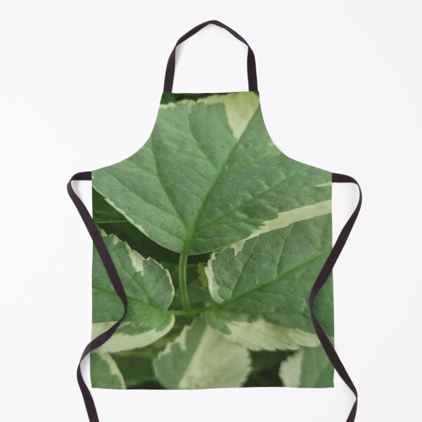 Item preview, Beautiful Ground Elder designed and sold by Rainbowland123.