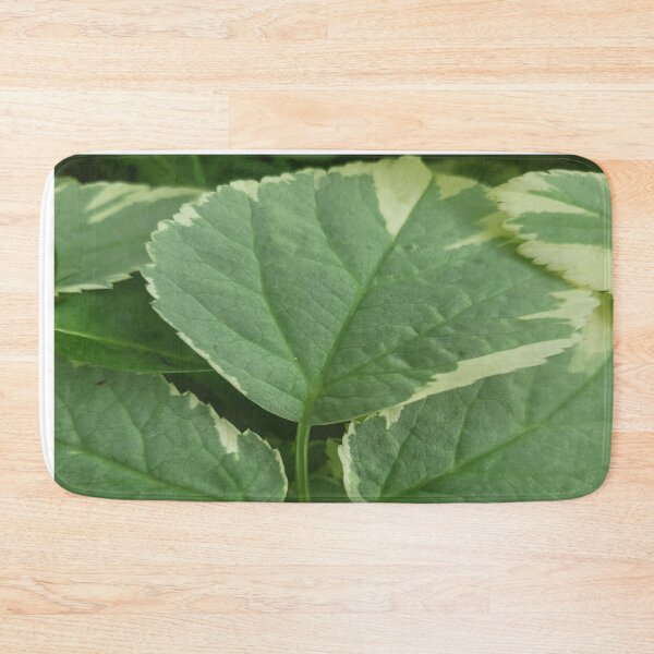 Item preview, Beautiful Ground Elder designed and sold by Rainbowland123.