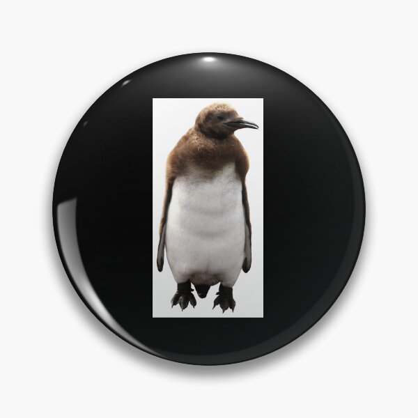 Item preview, Cute Standing King Penguin Chick Boxed (Black Background) designed and sold by SBPenguins.