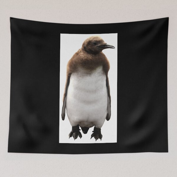 Item preview, Cute Standing King Penguin Chick Boxed (Black Background) designed and sold by SBPenguins.