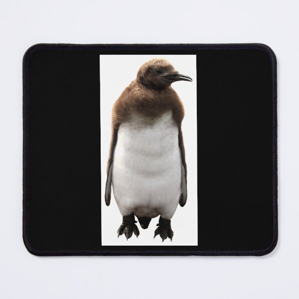 Item preview, Cute Standing King Penguin Chick Boxed (Black Background) designed and sold by SBPenguins.
