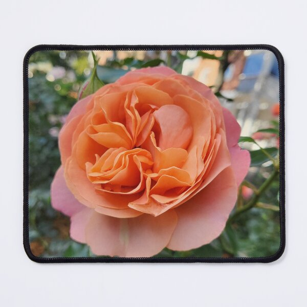 Item preview, Vibrant Orange Bloom designed and sold by LizelandLianne.