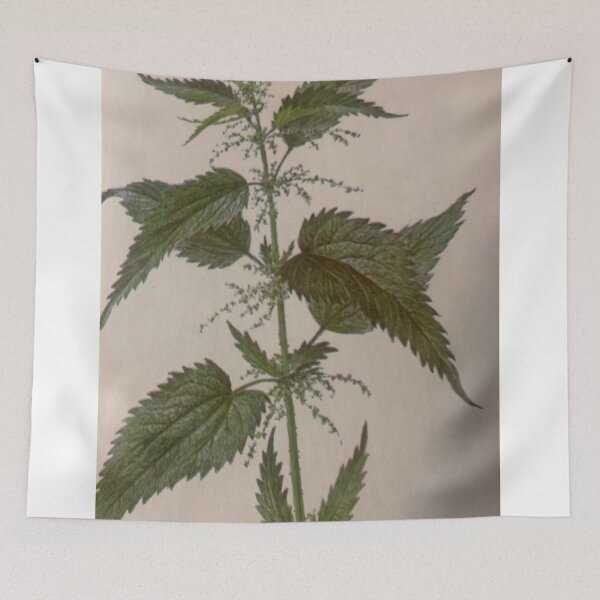 Item preview, nettle style. designed and sold by Valgasnews011.