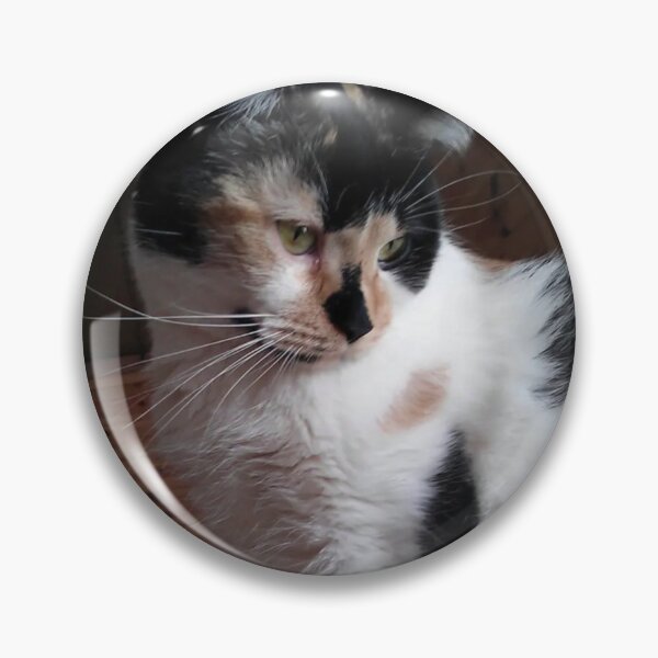Item preview, Precious Curious Calico Cat designed and sold by Rebecca Jane.