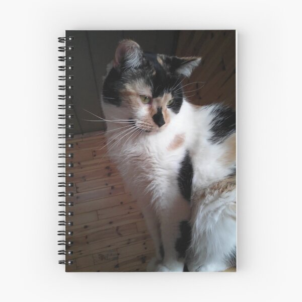 Item preview, Precious Curious Calico Cat designed and sold by Rebecca Jane.