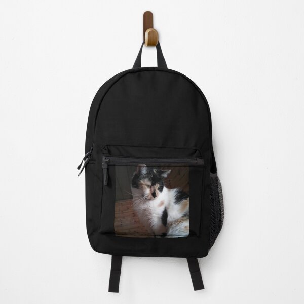 Item preview, Precious Curious Calico Cat designed and sold by Rebecca Jane.