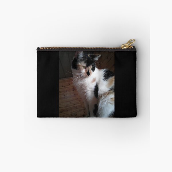 Item preview, Precious Curious Calico Cat designed and sold by Rebecca Jane.